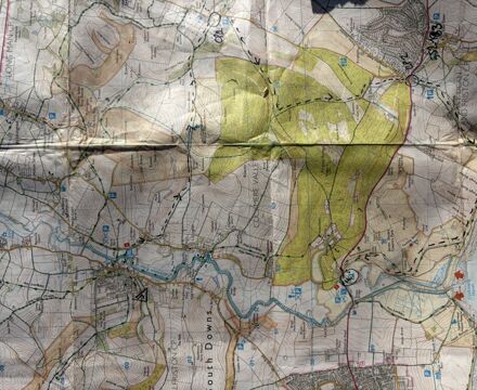 Image (5)