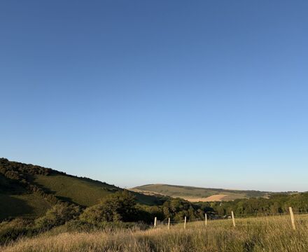 Image (4)